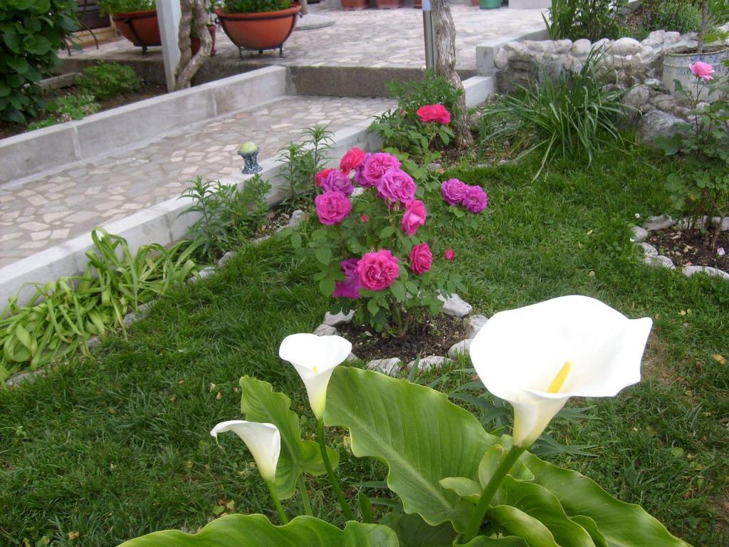 Apartments Bovan แฮร์เซ็ก-โนวี ภายนอก รูปภาพ